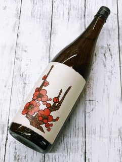 赤短の梅酒 1.8L｜八木酒造