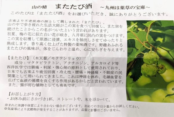 画像2: 山の精　またたび酒　720ML　　佐藤焼酎製造場　　　　　　　　　　　　 (2)