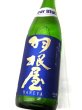 画像1: 羽根屋　Clear Blue　クリアブルー（生） (1)